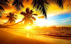 Tropical Sunset Yellow Light Sky Wallpaper