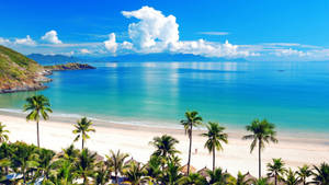 Tropical Vietnam Beach Wallpaper