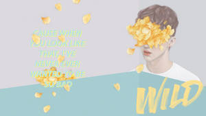 Troye Sivan Wild Lyrics Art Wallpaper