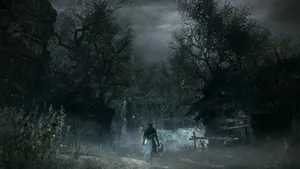 Trudging Through The Dark Woods Of Bloodborne Wallpaper