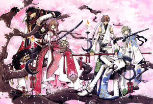 Tsubasa Reservoir Chronicle Cherry Tree Wallpaper