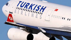 Turkish Airlines Wordmark Logo Wallpaper