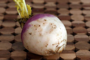 Turnip On Octagon Pattern Table Wallpaper