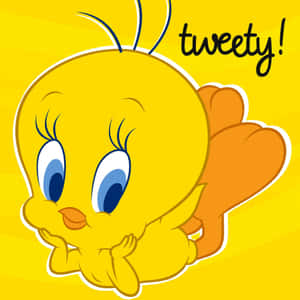 Tweety Bird 1949 X 1949 Wallpaper