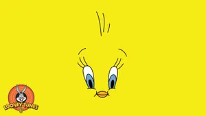 Tweety Bird 2845 X 1600 Wallpaper