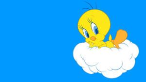 Tweety Bird On A Cloud Wallpaper