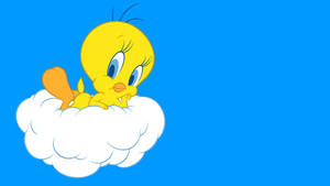 Tweety Bird On White Cloud Wallpaper