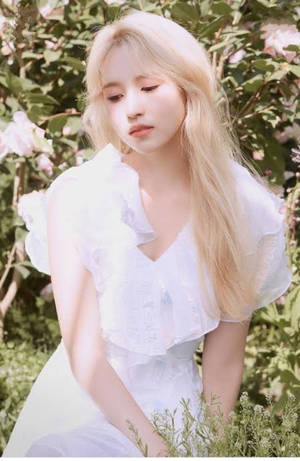 Twice Member Mina Ethereal Shoot Wallpaper