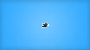 Twitter Bird Minimalist Wallpaper