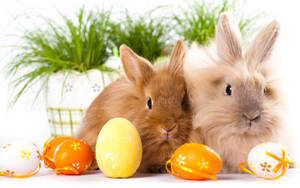 Two Adorable Happy Easter Bunnies With Eggs Wallpaper