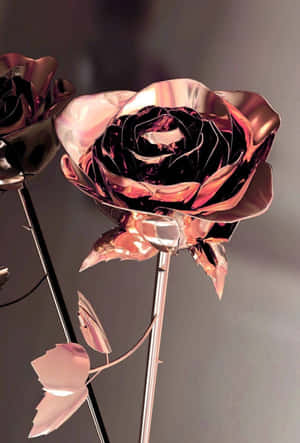 Two Delicate Pink Roses - Perfect For Someone Special. Wallpaper