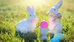 Two Easter Bunnies Sharing An Easter Basket. Wallpaper