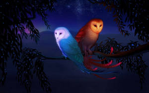 Two Owls Standing In A Nocturnal Scene Wallpaper