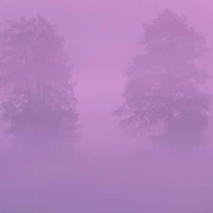 Two Trees In The Fog With Purple Sky Wallpaper