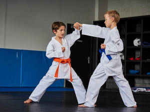 Two Young Karate Students Showcasing Their Skills Wallpaper