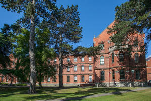 Ucd Building With Trees Wallpaper