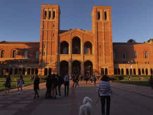 Ucla Campus In Los Angeles Wallpaper