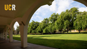 Ucr Tomás Rivera Library Arches Wallpaper