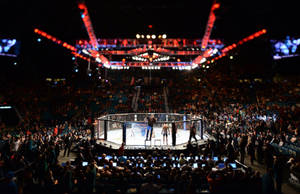 Ufc Arena 4k Wallpaper