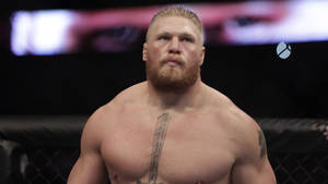 Ufc Brock Lesnar Return Wallpaper