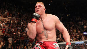 Ufc Fighter Brock Lesnar Wallpaper