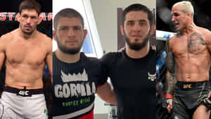 Ufc Fighters Demian Maia Wallpaper