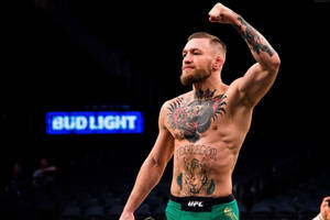 Ufc Mcgregor Fight Pose 4k Wallpaper