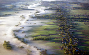 Ukraine Misty Field Wallpaper