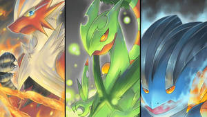 Ultimate Trio: Swampert, Grovyle, And Blaziken In Action Wallpaper