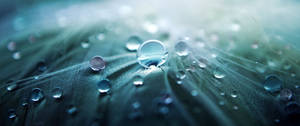 Ultra Wide 4k Hd Water Droplets Wallpaper