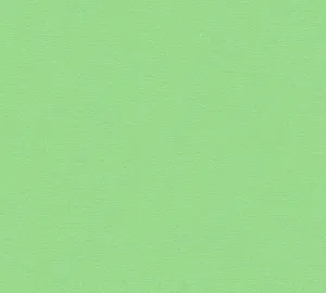 Undecorated Light Green Plain Wallpaper