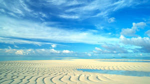 Under The Blue Sky Beach Wallpaper