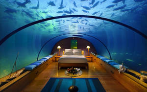 Underwater Aquarium Hotel Bedroom Wallpaper