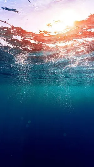 Underwater Calms Wallpaper