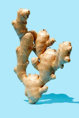 Unique Ginger Rhizome Vegetable Portrait Wallpaper