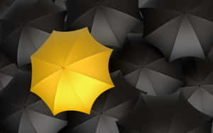 Unique Yellow Umbrella Among Black Wallpaper