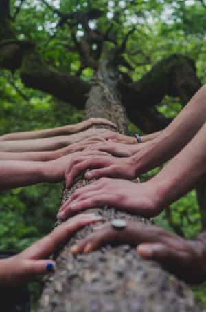 Unityin Nature.jpg Wallpaper