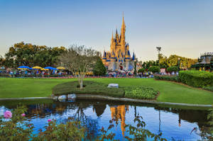 Universal Studios Pond Area Wallpaper