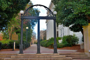 University Of Georgia Arch Wallpaper