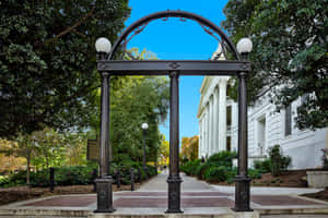 University Of Georgia Cast Iron Arch Wallpaper