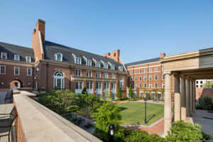 University Of Georgia Courtyard Wallpaper