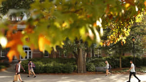 University Of Georgia During Autumn Wallpaper