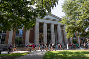 University Of Georgia Students Studying Outside The Library. Wallpaper