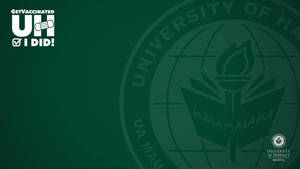 University Of Hawaii Dark Green Zoom Background Wallpaper