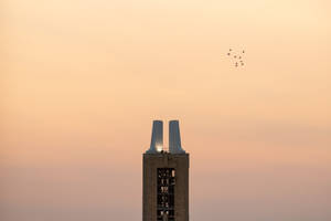 University Of Kansas Campanile With Birds Wallpaper