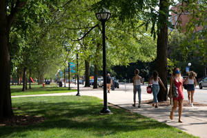 University Of Michigan-ann Arbor Campus Walkway Wallpaper