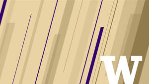 University Of Washington Line Abstract Graphic Wallpaper