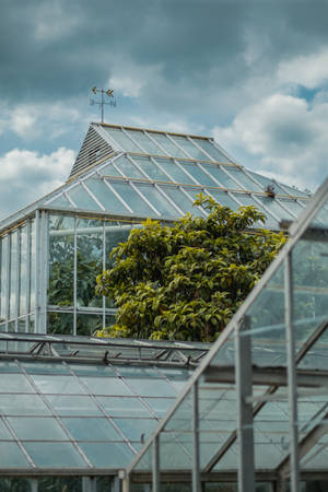 University Of Wisconsin-madison Botanical Garden Wallpaper