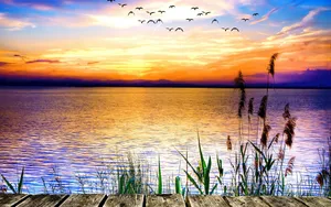 Unleash Your Potential With A Samsung Tablet Wallpaper