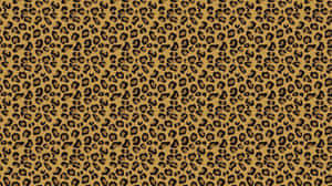 Unleash Your Wild Side Wallpaper